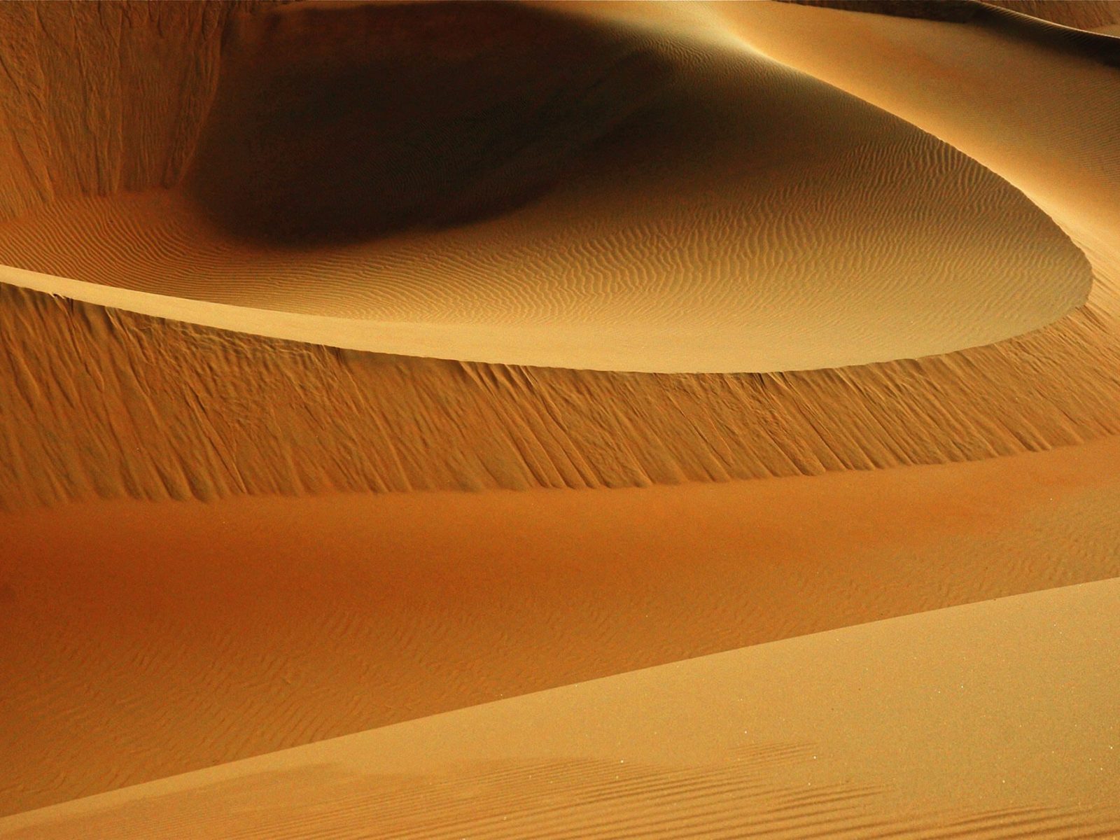 Lee Miller 47629 Unsplash